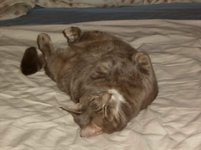 Sleeping upside down