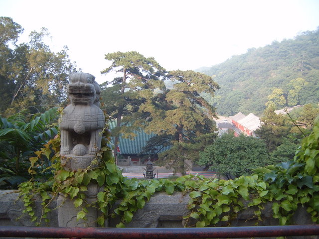 Day #5: Somewhere in the mountains