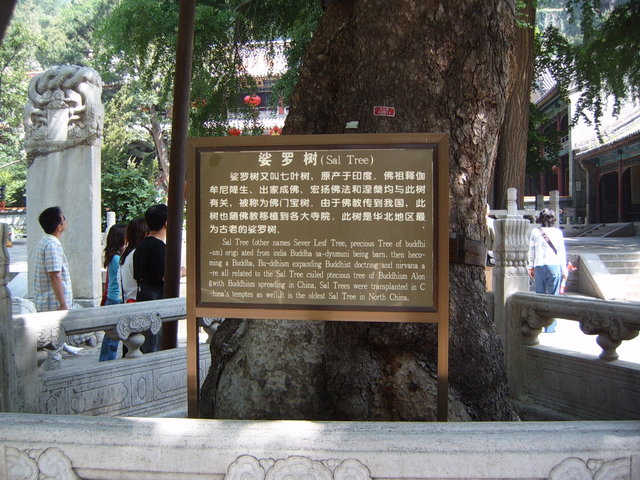 Day #6: Monastery grounds