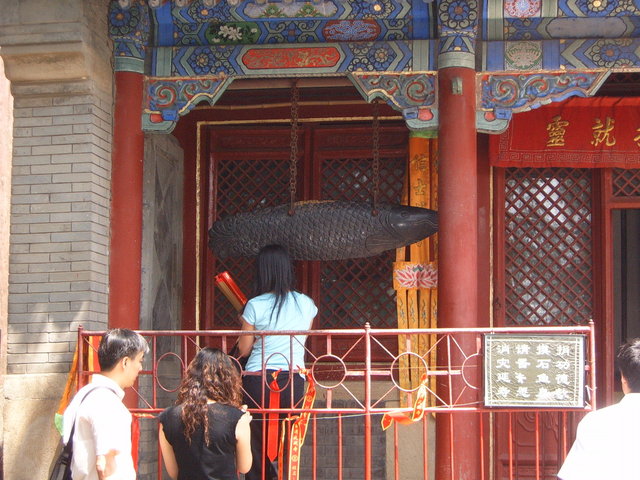 Day #6: Still in the monastery