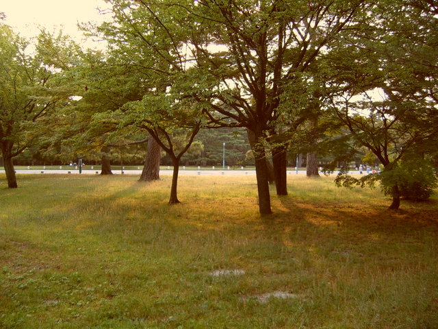 Day #7: Kyoto Imperial Palace at sunset