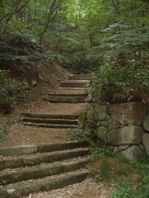 Day #8: Shiroyama park in Takayama