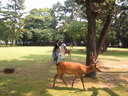 Day #10: Nara