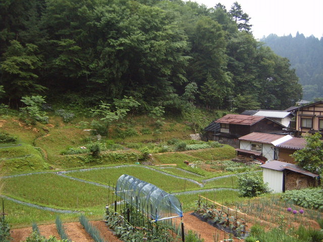 Day #8: North of Shiroyama park