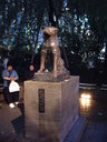 Day #11: Hachiko, Shibuya
