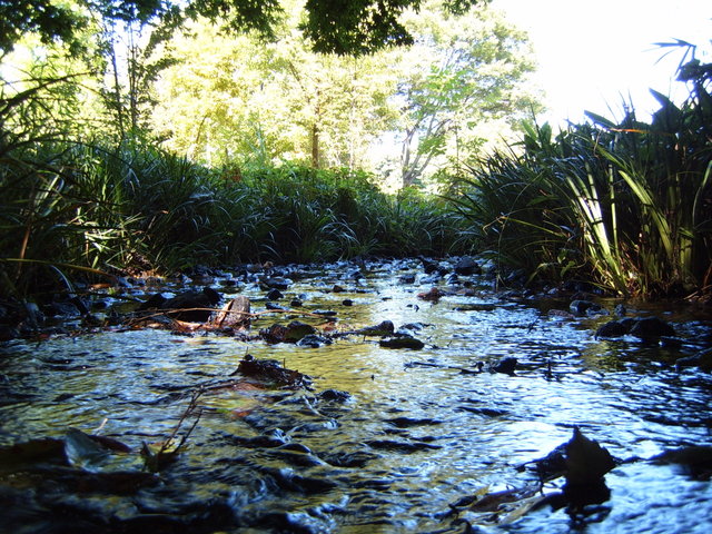 Day #4: Tokyo Imperial Palace East Gardens