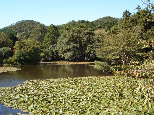 Day #7: Ryoanji, Kyoto
