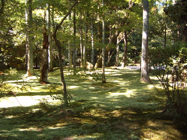 Day #7: Ryoanji, Kyoto