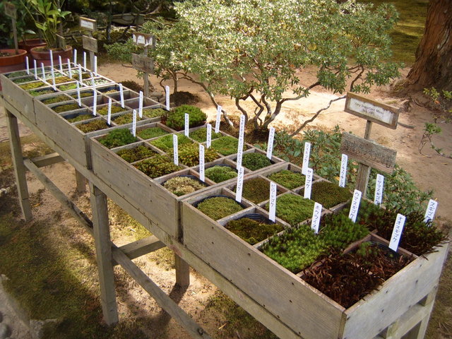Day #8: Ginkakuji, Kyoto