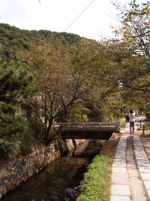 Day #8: Philosophers' walk