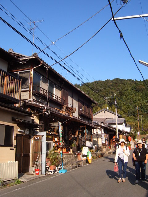 Day #8: Random sightings at the end of the philosophers' walk