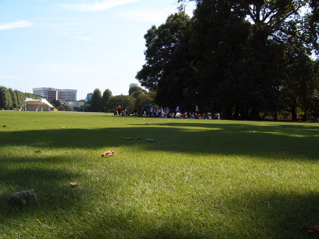 Day #12: Shinjuku Gyoen National Garden