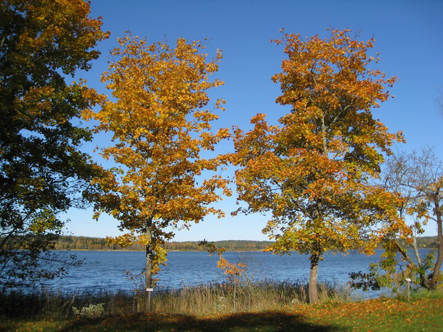 Another view of Lapinjärvi