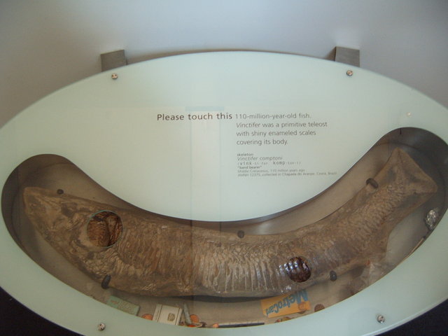 Day #5: American Museum of Natural History