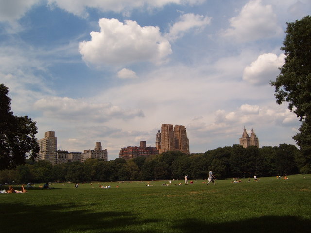 Day #8: Sheep Meadow at Central Park