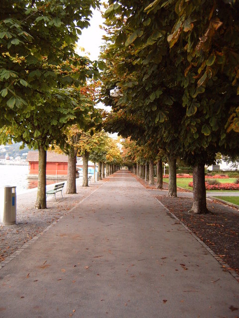 Day #1: North shore of Lake Luzern towards city centre